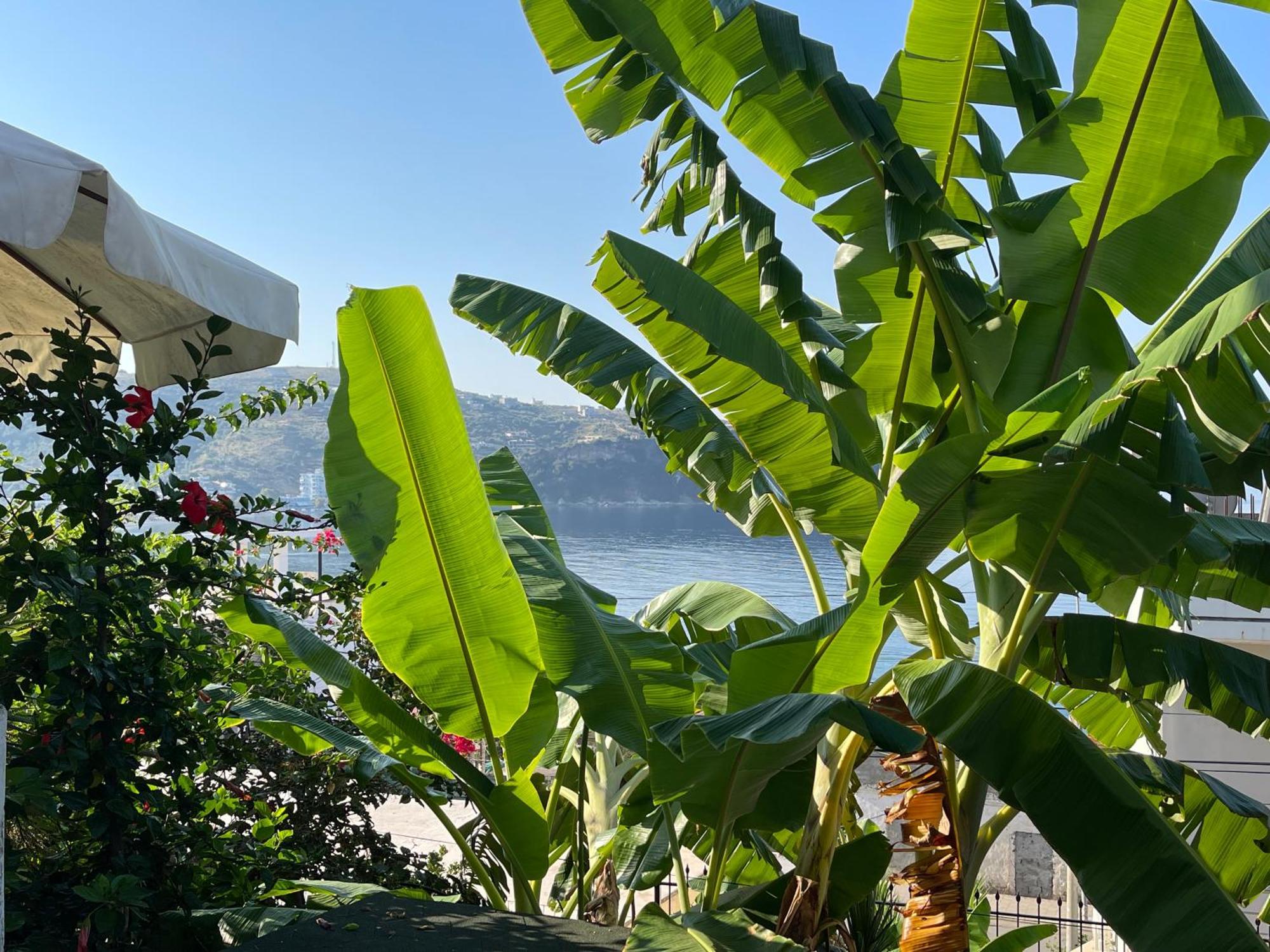Ionian View Apartment Himare Exterior photo